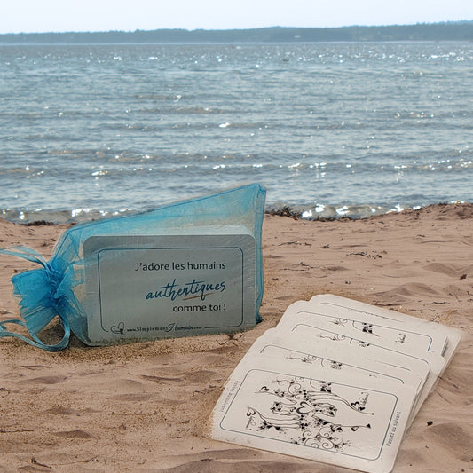 Cartes Passez au suivant posées sur une plage avec un sac bleu transparent, inspirantes et authentiques.